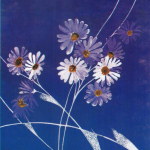 প্রিন্টিং শাড়ির ডিজাইন